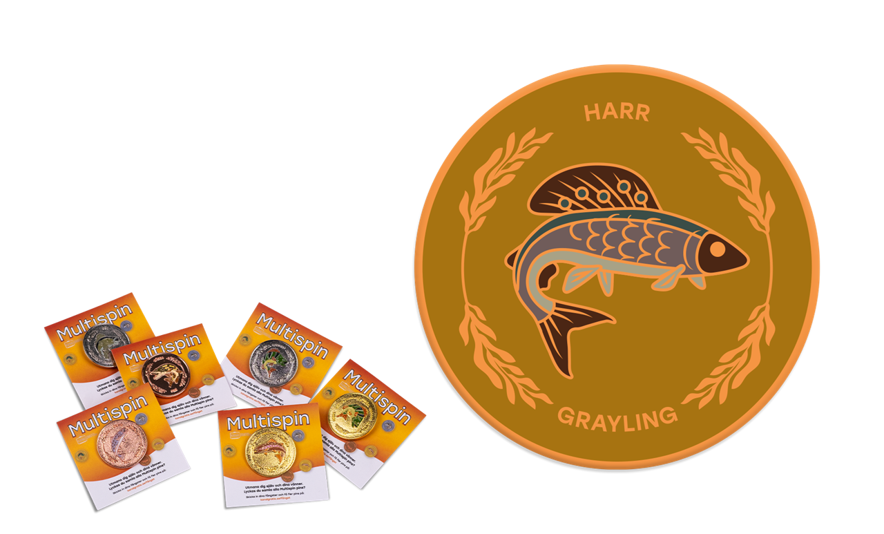 Picture of MS-B-Harr