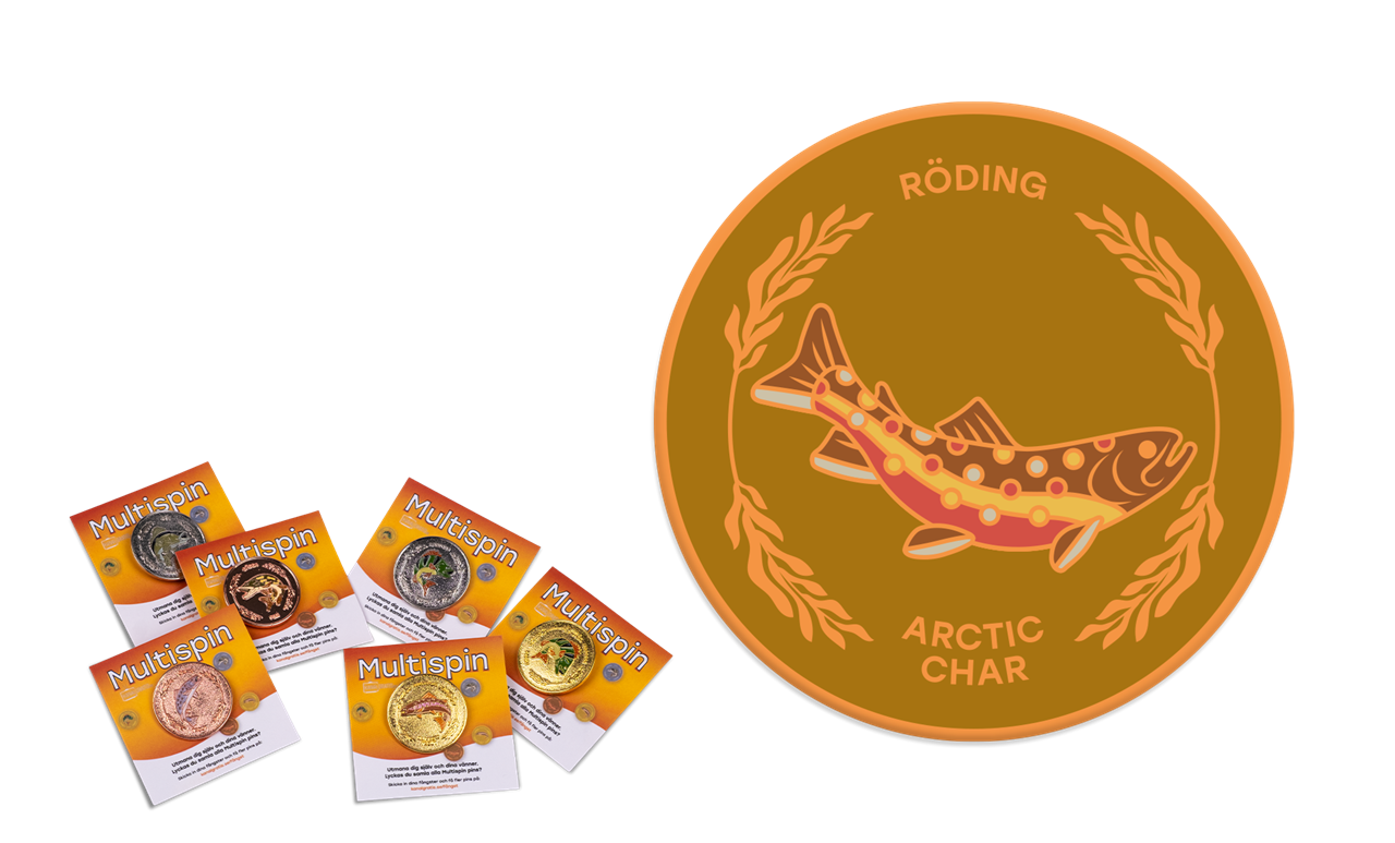 Picture of MS-B-Röding