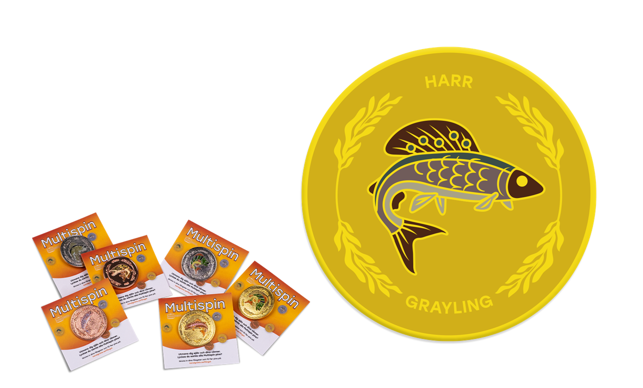 Picture of MS-G-Harr