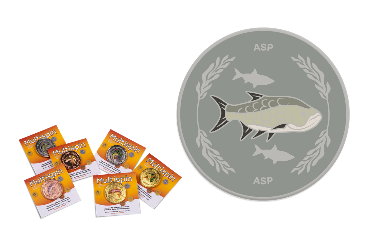 Picture of MS-S-Asp