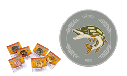 Picture of MS-S-Gädda