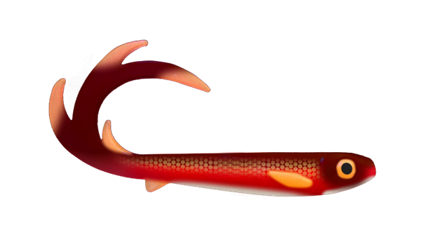 custom lure