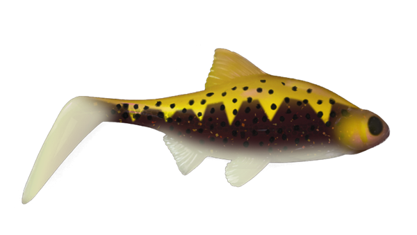custom lure