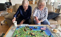 Picture of Brädspel - Den Stora Artjakten med Team Galant