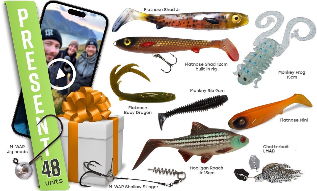 Picture of Birthday Package 3 with Personalized video + card