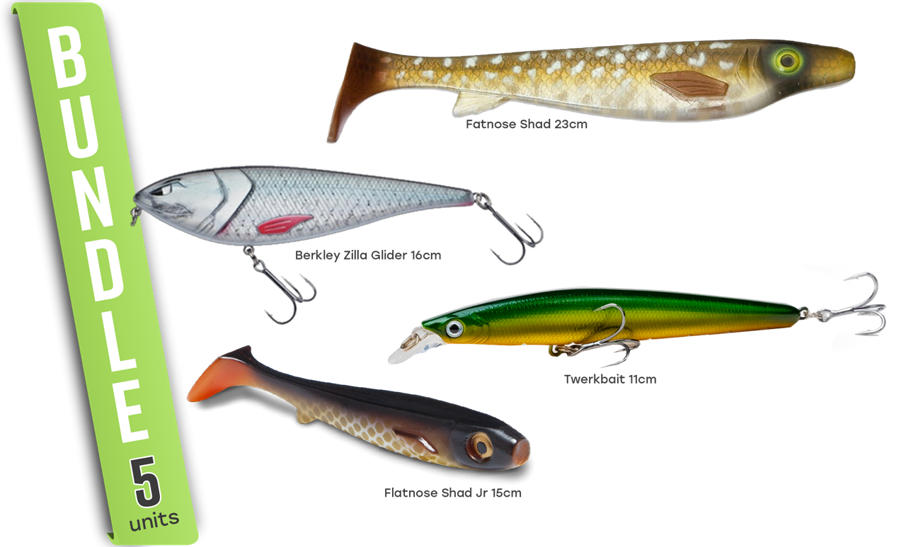 Picture of Tobias's Autumn Favorites – Pike Fishing In Shallow Water!