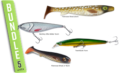 Picture of Tobias's Autumn Favorites – Pike Fishing In Shallow Water!
