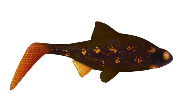 custom lure