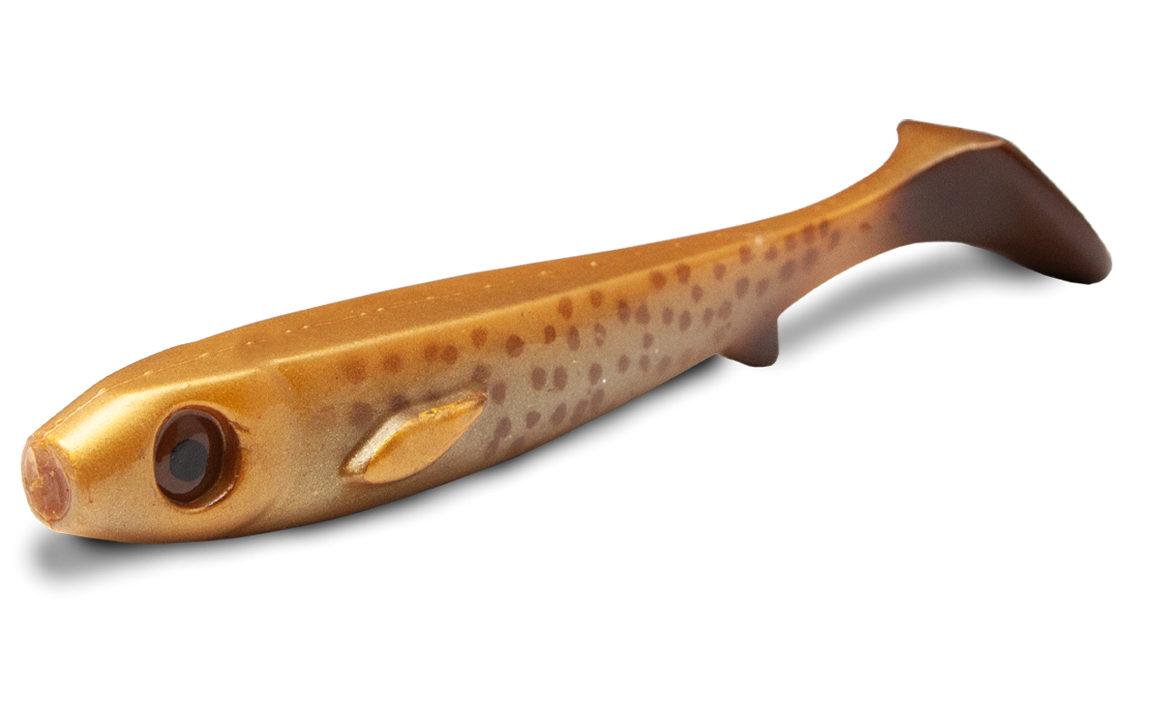 Picture of Flatnose Bauta 24cm