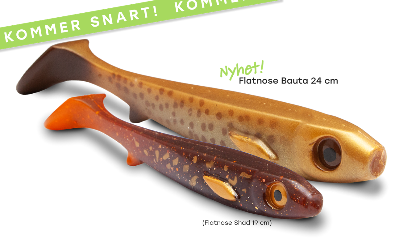 Picture of Flatnose Bauta 24cm