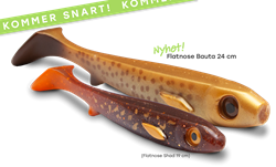 Picture of Flatnose Bauta 24cm