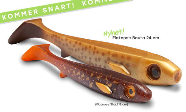 Picture of Flatnose Bauta 24cm